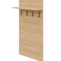 Entryway Wall-Mounted Coat Rack with Shelf