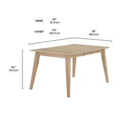 Extendable Rectangular Dining Table (54
