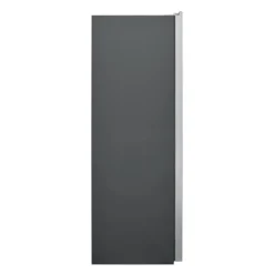 Frigidaire Professional 19 Cu Ft 33 In Freezer Stainless, Vertical, 33