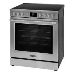 Frigidaire Professional Range Stainless 30