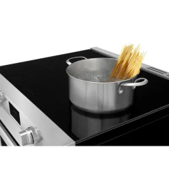 Frigidaire Professional Range Stainless 30