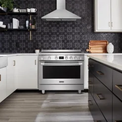 Frigidaire Professional Range Stainless 36