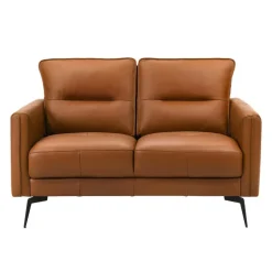 Genuine Full Leather Loveseat