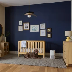 HEPA Air Purifier - 177 sq. ft.