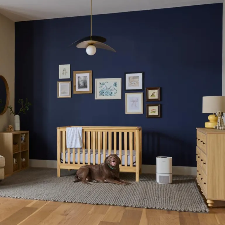 HEPA Air Purifier - 177 sq. ft.