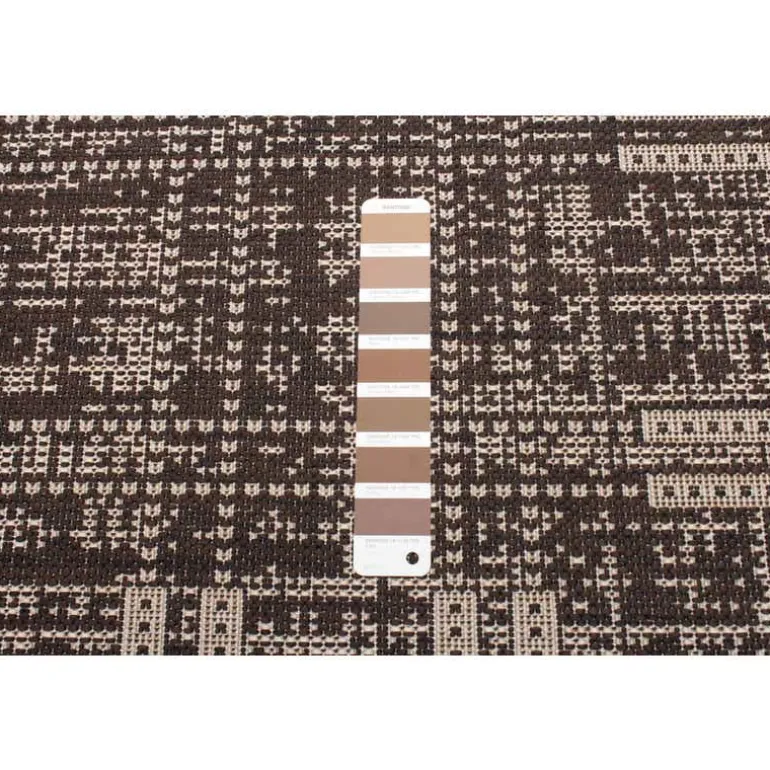 Indoor or Outdoor Rug - 4 x 6