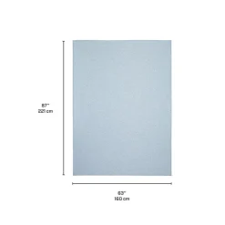 Indoor or Outdoor Rug - 5 x 7