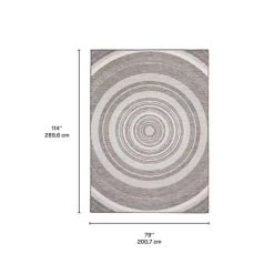 Indoor or Outdoor Rug - 7 x 10
