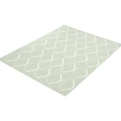 Indoor or Outdoor Rug - 5 x 7