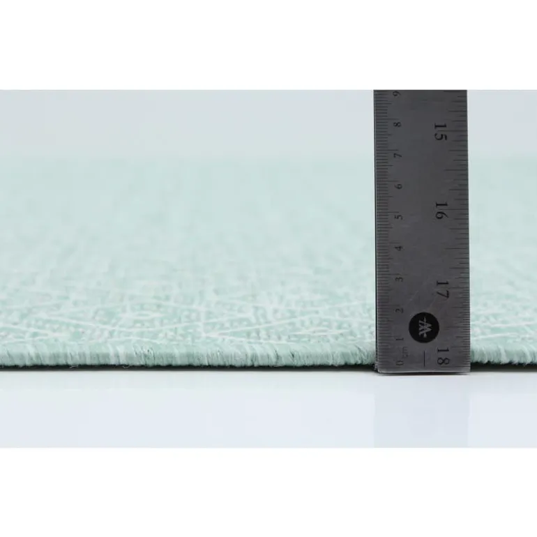 Indoor or Outdoor Rug - 7 x 10