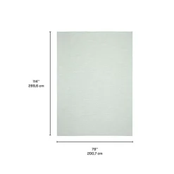 Indoor or Outdoor Rug - 7 x 10