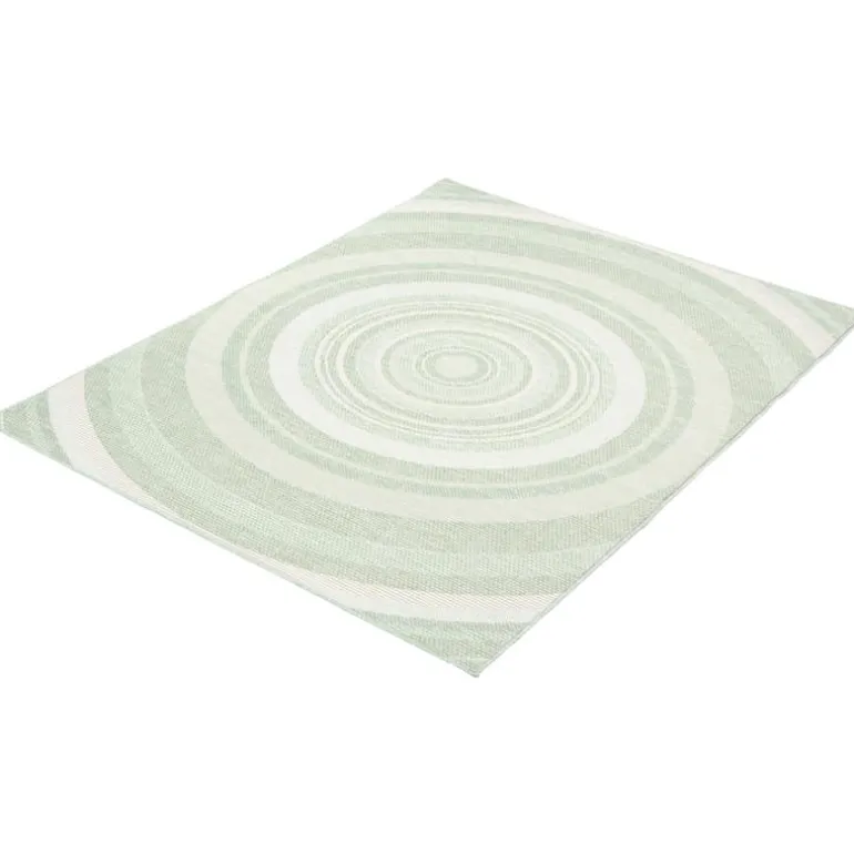 Indoor or Outdoor Rug - 5 x 7