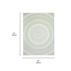 Indoor or Outdoor Rug - 5 x 7
