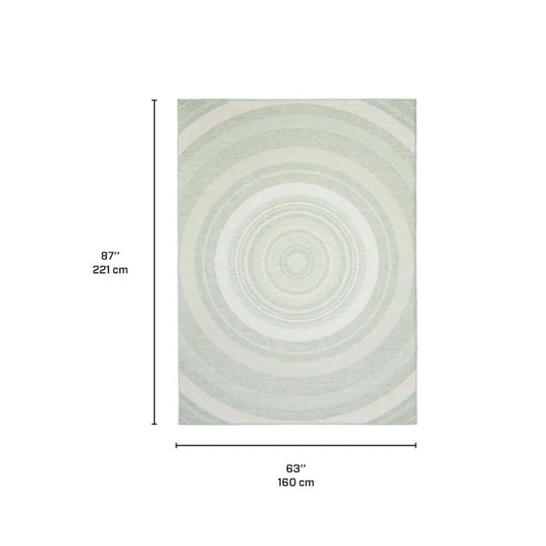 Indoor or Outdoor Rug - 5 x 7
