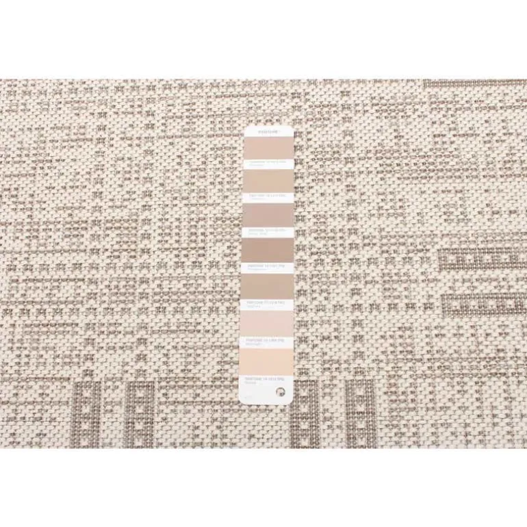 Indoor or Outdoor Rug - 4 x 6