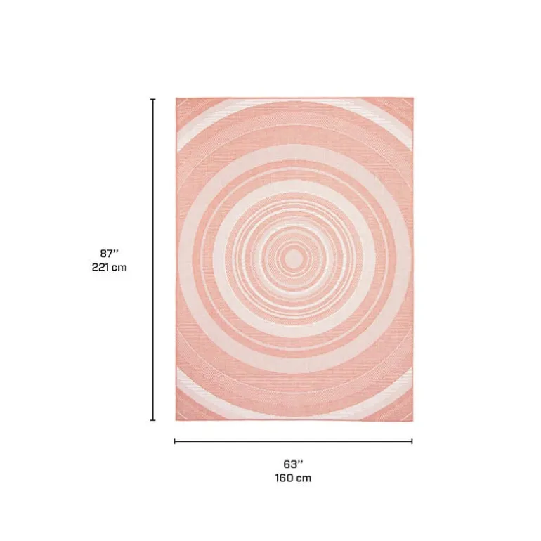 Indoor or Outdoor Rug - 5 x 7