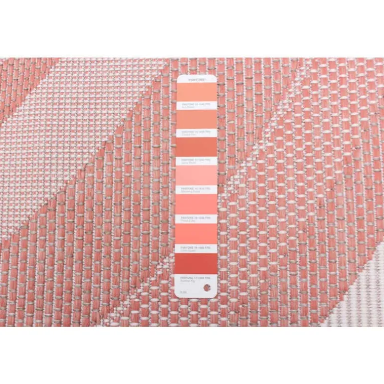 Indoor or Outdoor Rug - 5 x 7