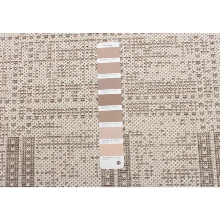 Indoor or Outdoor Rug - 2 x 4