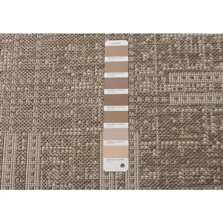 Indoor or Outdoor Rug - 4 x 6