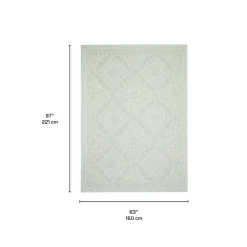 Indoor or Outdoor Rug - 5 x 7