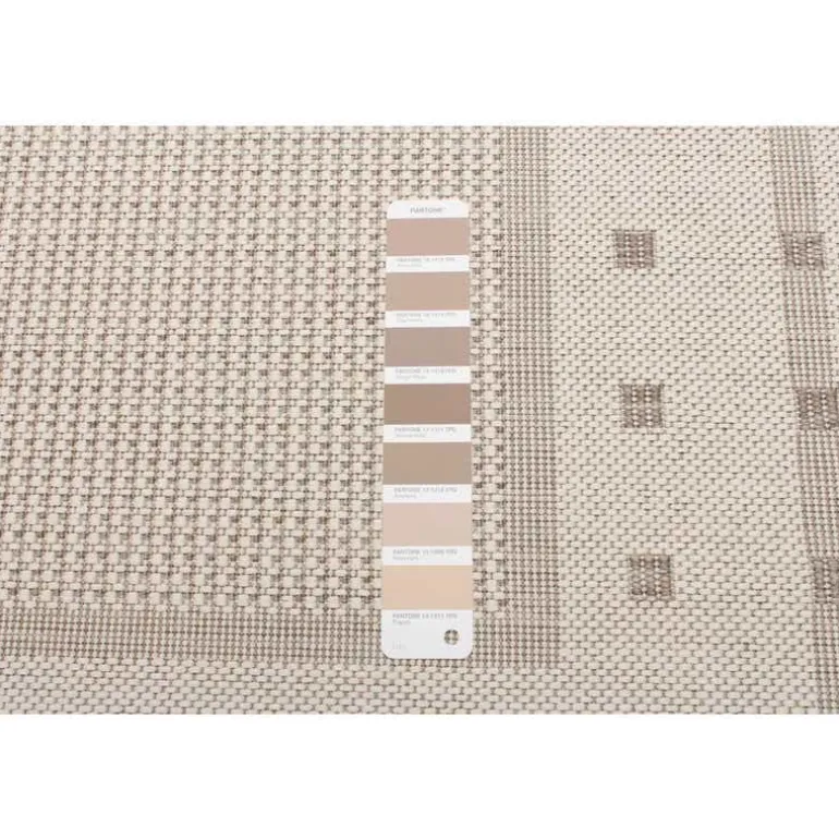 Indoor or Outdoor Rug - 4 x 6