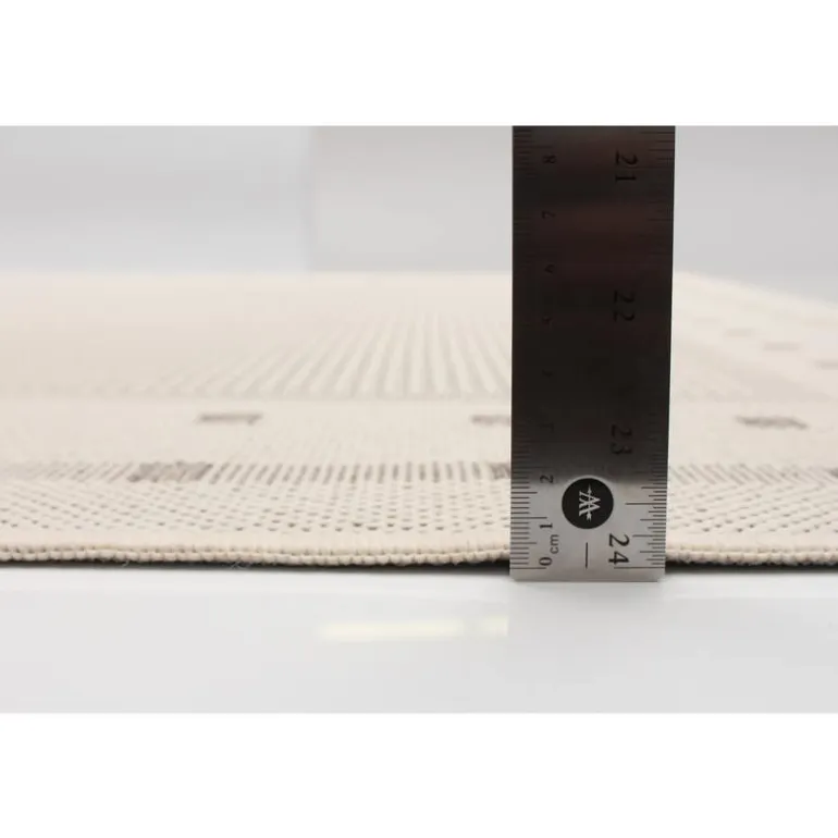 Indoor or Outdoor Rug - 4 x 6