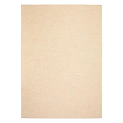 Indoor or Outdoor Rug - 7 x 10
