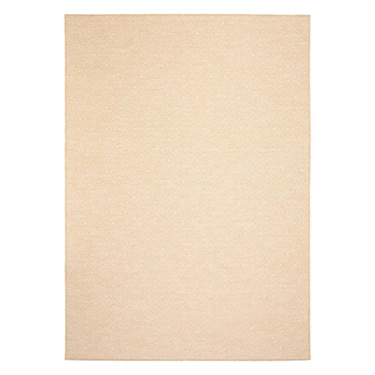 Indoor or Outdoor Rug - 7 x 10