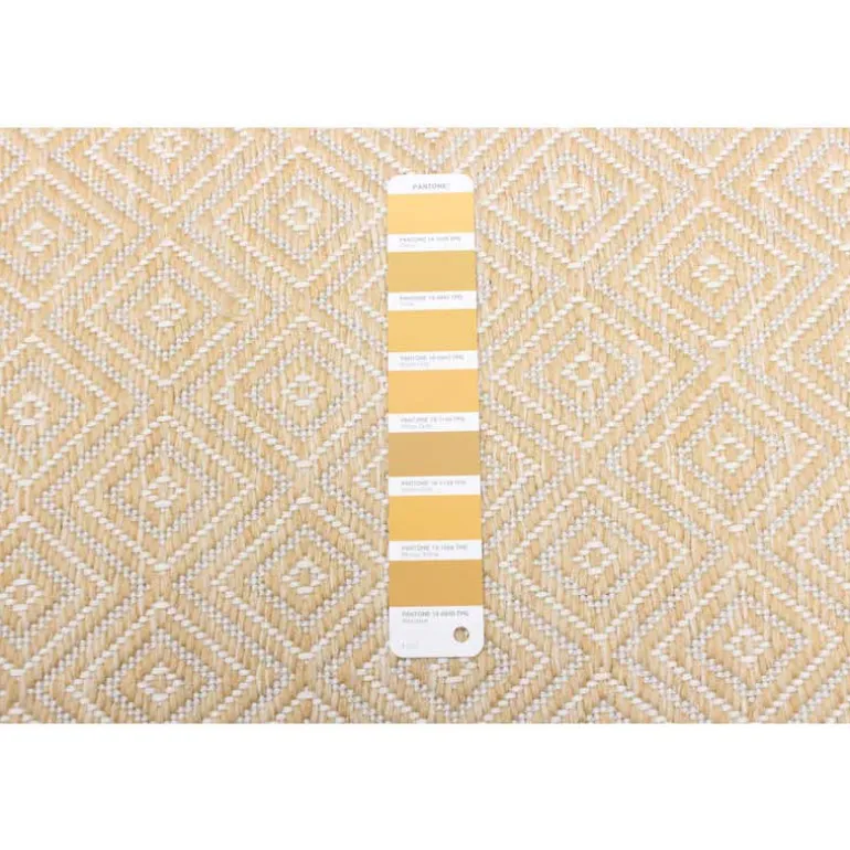 Indoor or Outdoor Rug - 7 x 10