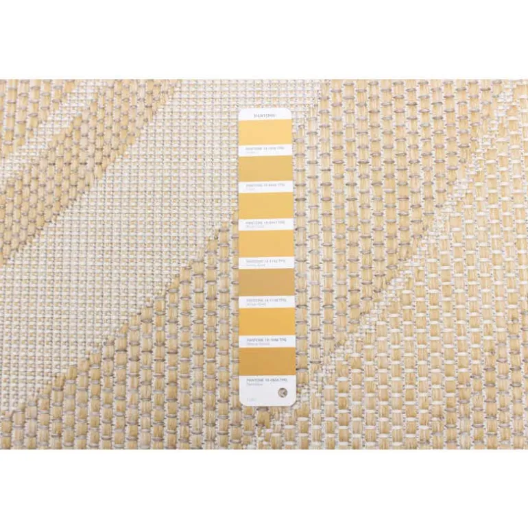Indoor or Outdoor Rug - 7 x 10