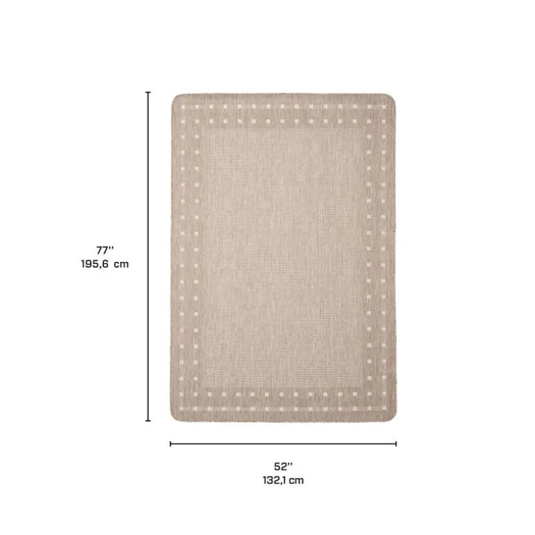 Indoor or Outdoor Rug - 4 x 6