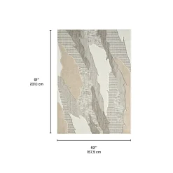 Indoor or Outdoor Rug - 5 x 8