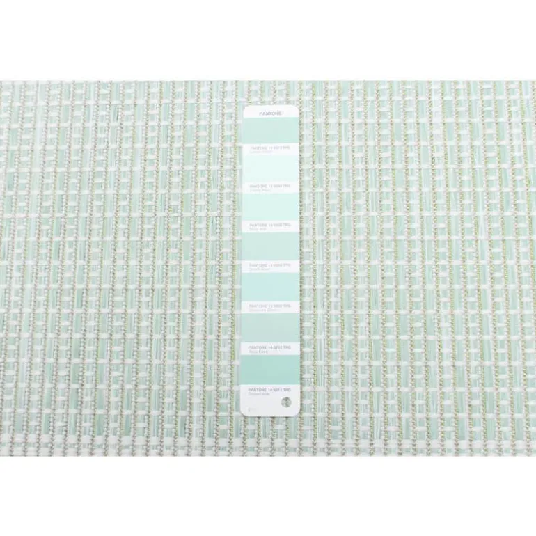 Indoor or Outdoor Rug - 5 x 7