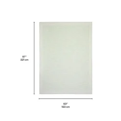 Indoor or Outdoor Rug - 5 x 7