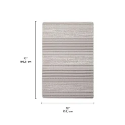 Indoor or Outdoor Rug - 4 x 6