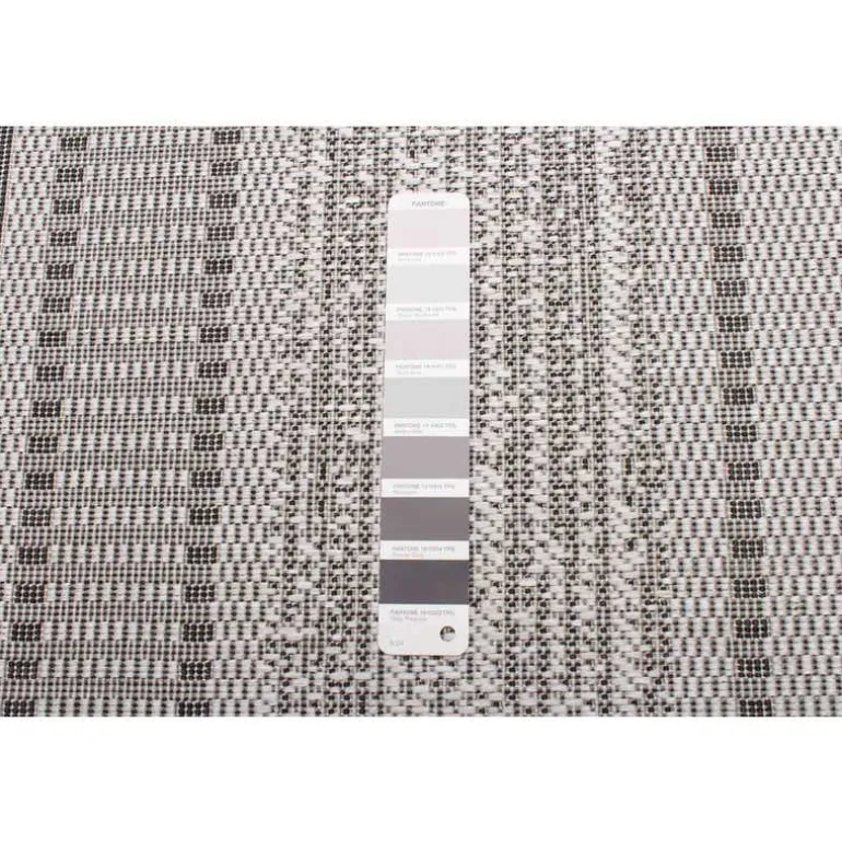 Indoor or Outdoor Rug - 4 x 6