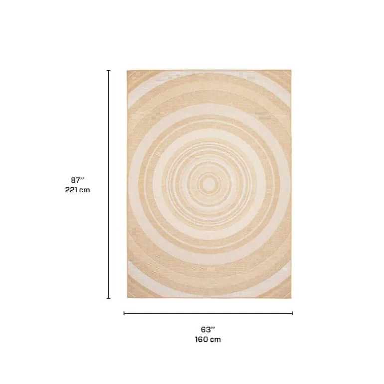Indoor or Outdoor Rug - 5 x 7