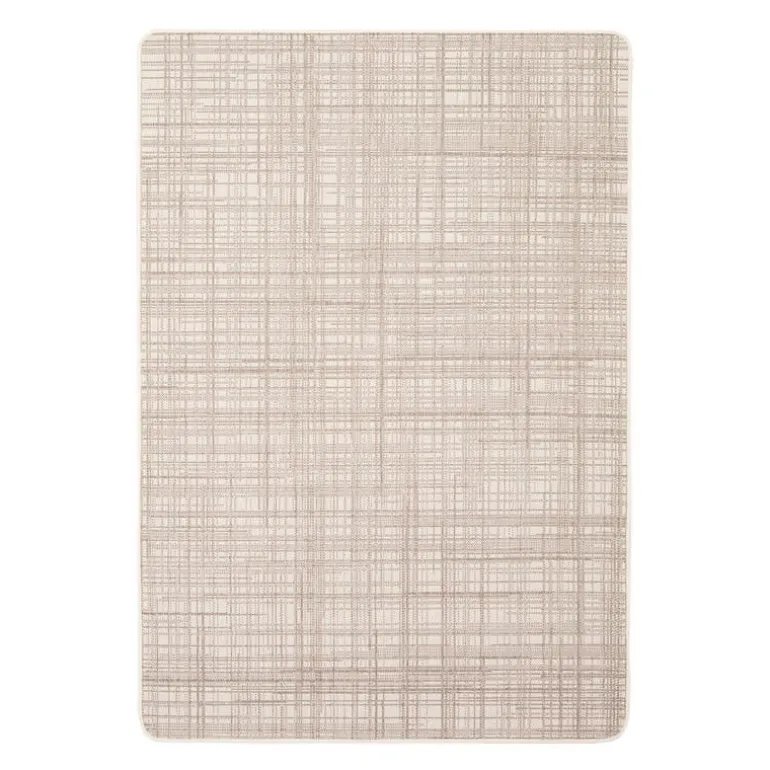 Indoor or Outdoor Rug - 4 x 6