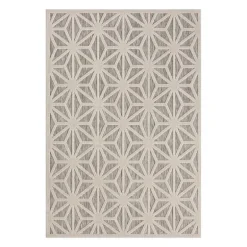 Indoor or Outdoor Rug - 5 x 8