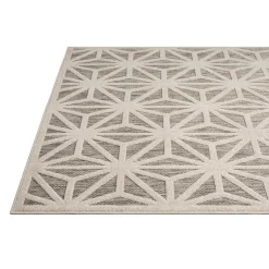 Indoor or Outdoor Rug - 5 x 8
