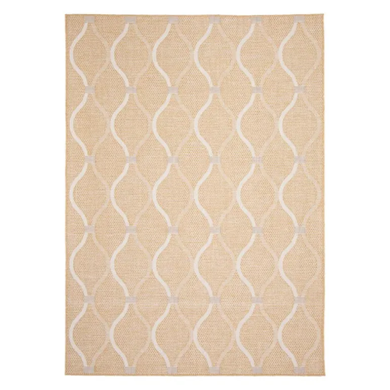 Indoor or Outdoor Rug - 7 x 10