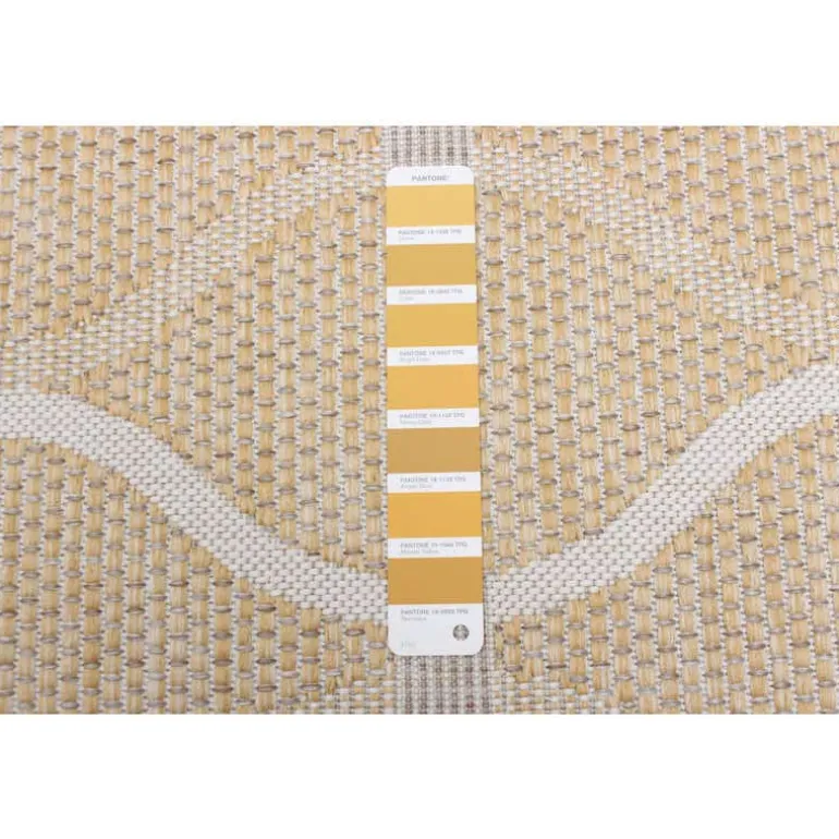 Indoor or Outdoor Rug - 7 x 10