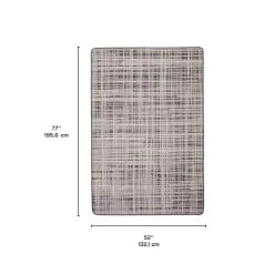 Indoor or Outdoor Rug - 4 x 6
