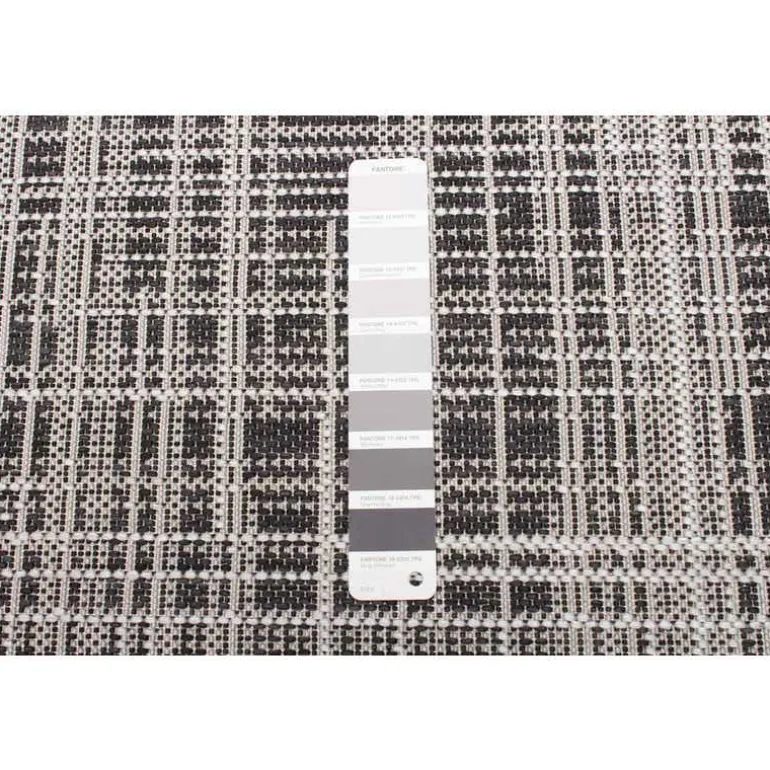 Indoor or Outdoor Rug - 4 x 6