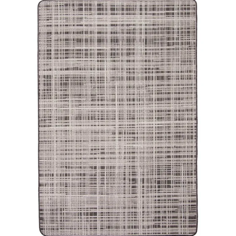 Indoor or Outdoor Rug - 4 x 6