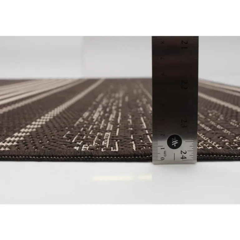 Indoor or Outdoor Rug - 4 x 6