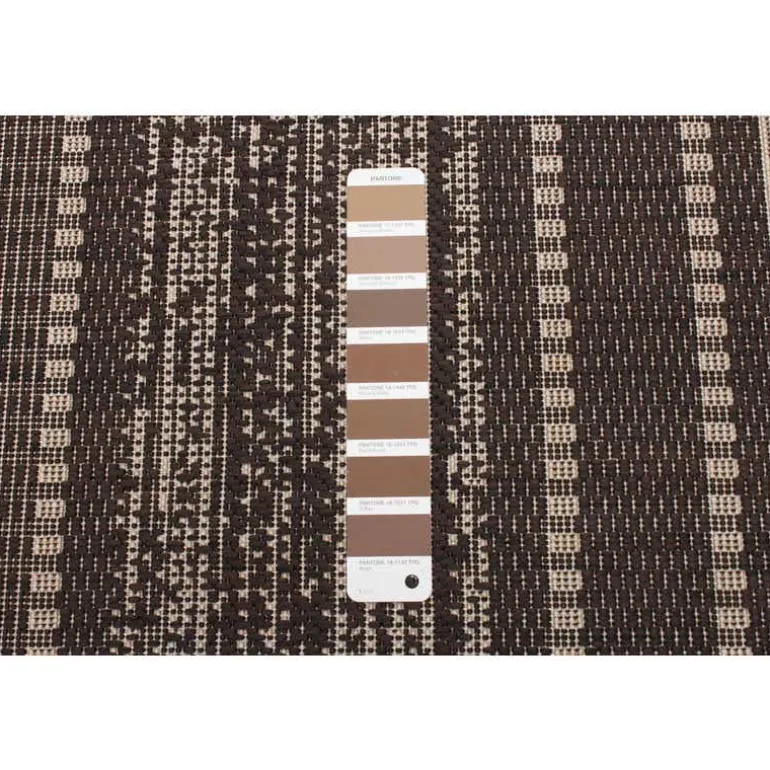 Indoor or Outdoor Rug - 4 x 6