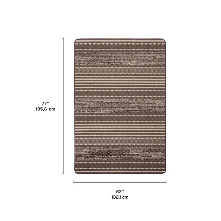 Indoor or Outdoor Rug - 4 x 6