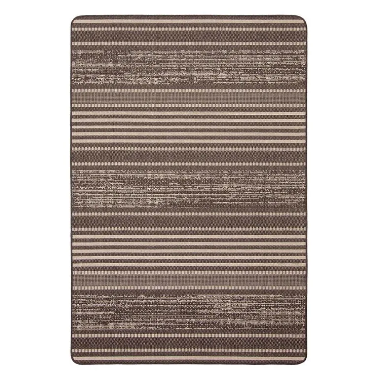 Indoor or Outdoor Rug - 4 x 6