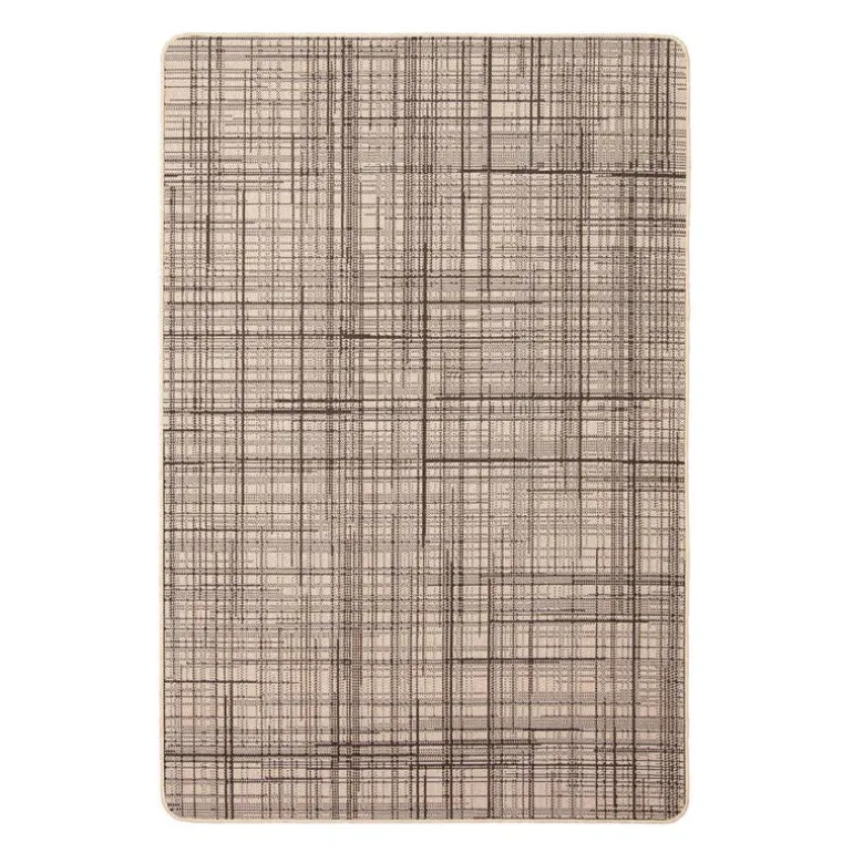 Indoor or Outdoor Rug - 4 x 6